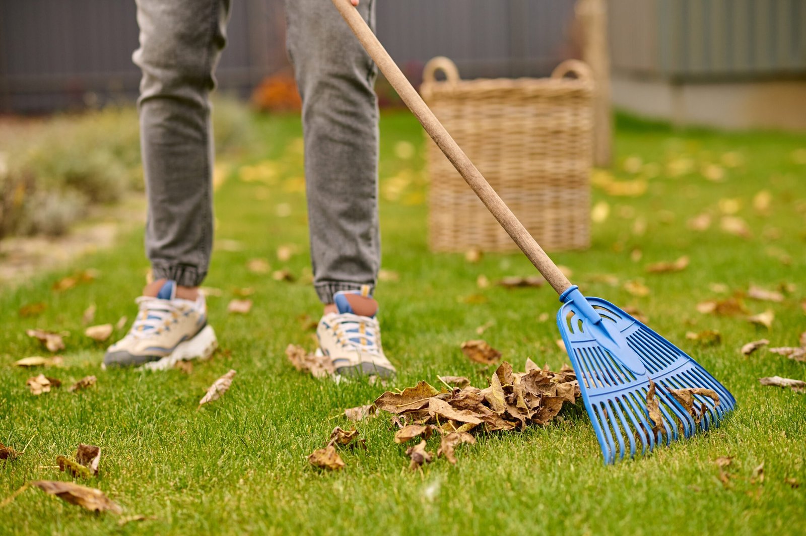Garage Cleaning Cleenzy Toronto